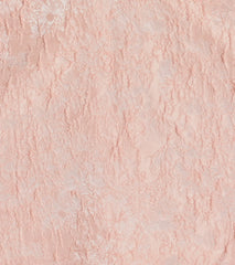 Adorable Classic Strapless Corset Floral Skater Dress