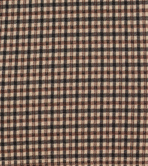 Flirty Expression Sleeveless Plaid Mini Dress