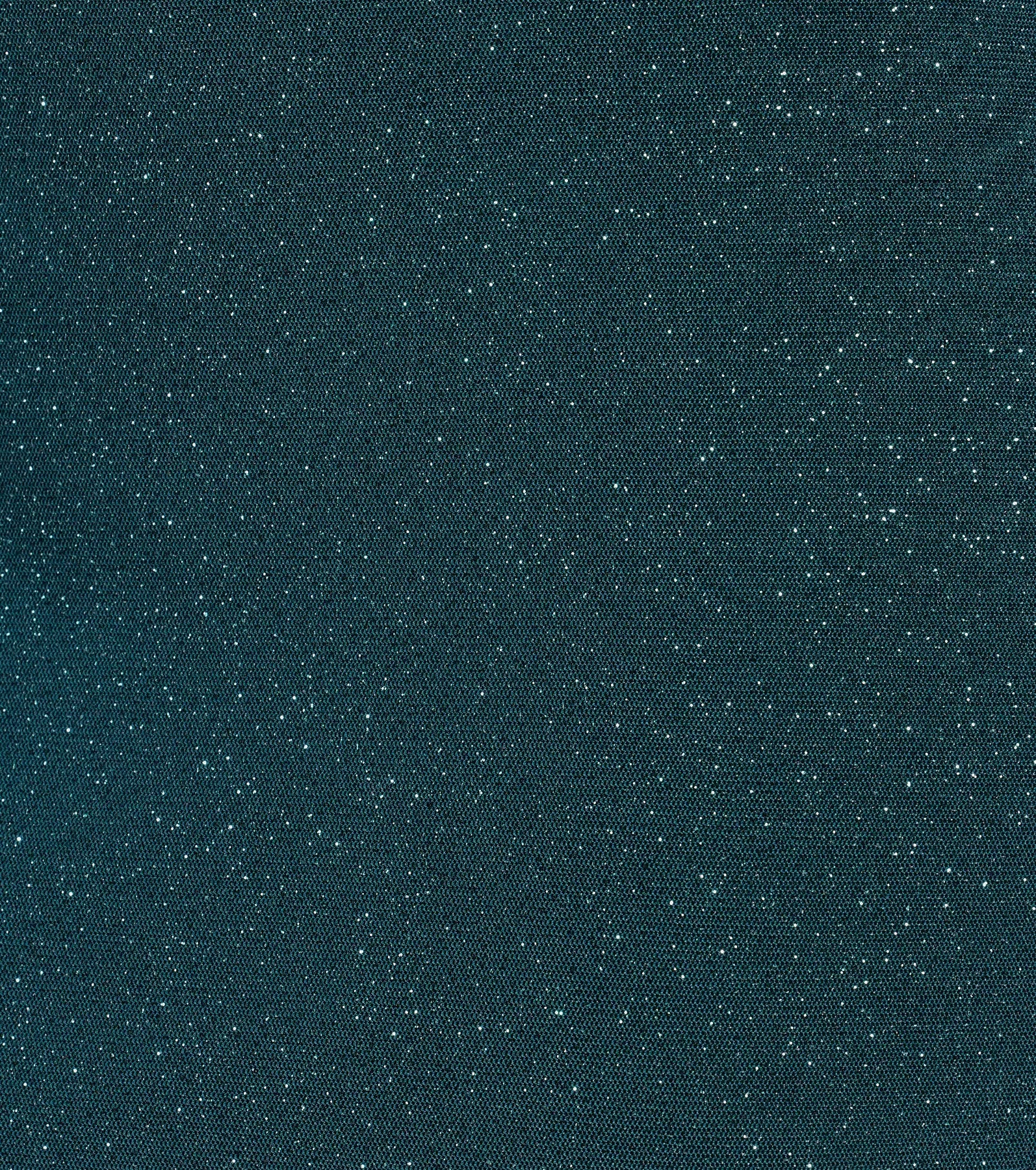 Glitzy Affair Glitter Mesh Long Sleeve Mini Dress